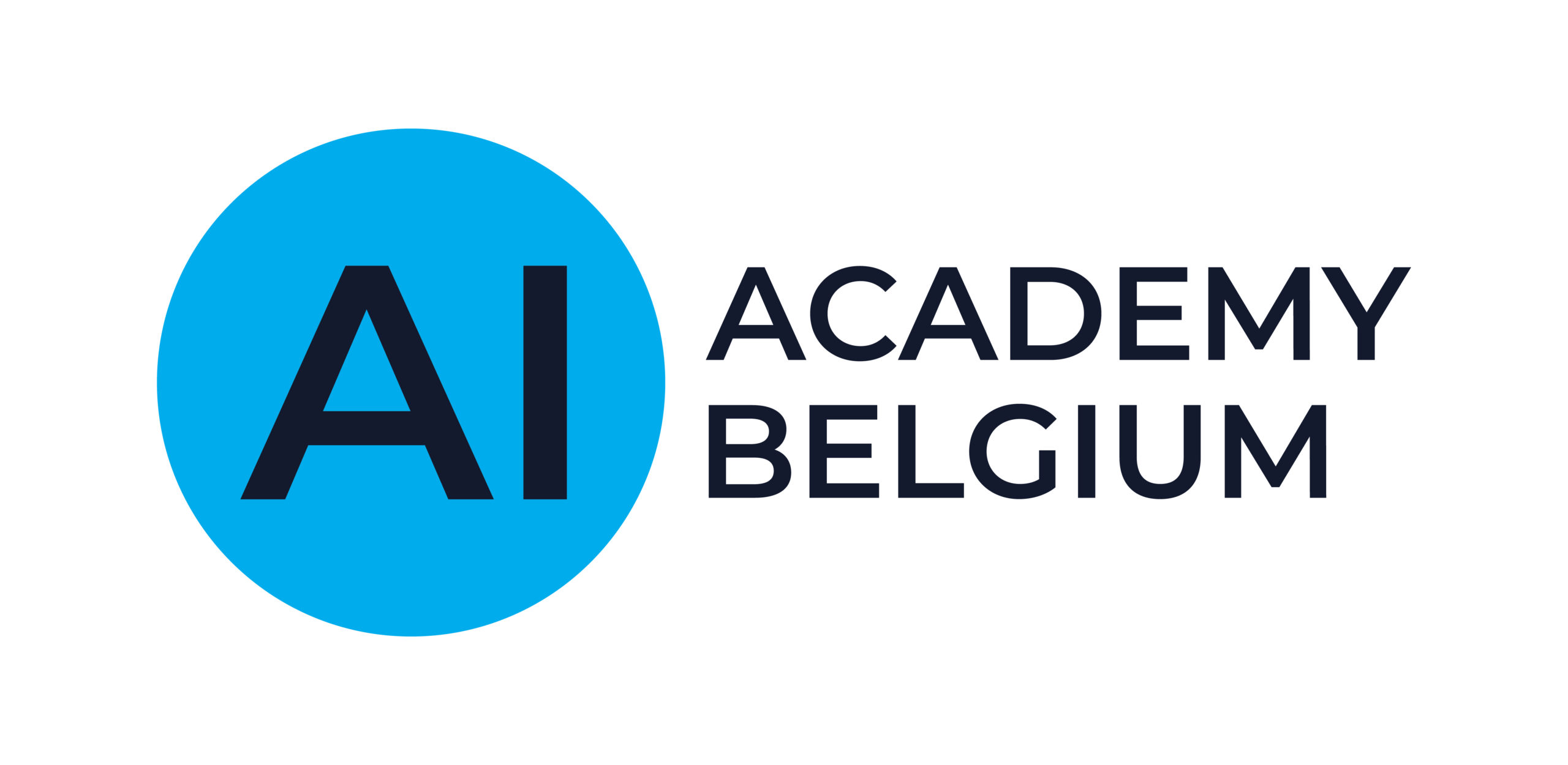 AI Academy Belgium_Dark Blue and Light Blue